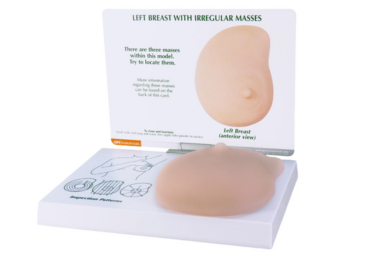 GPI Anatomicals - 左乳房模型 (不規則腫塊) 人体解剖教學模型 乳癌篩查教學模型