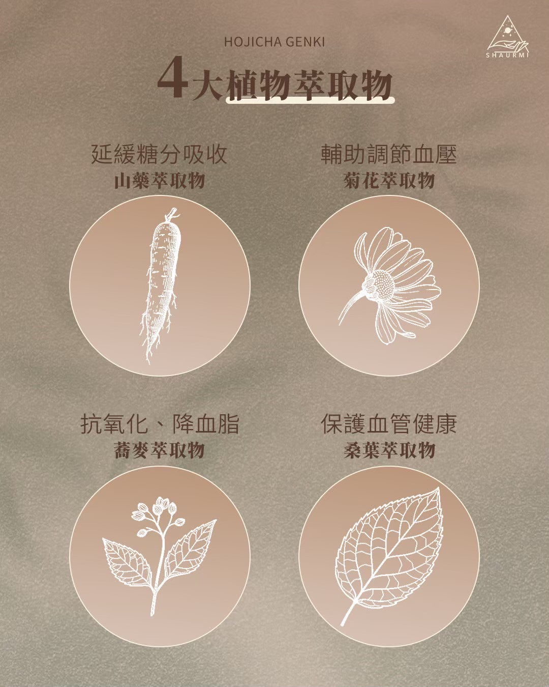 Shaurmi -  HOJICHA GENKI 日式焙茶代餐 減少糖分吸收 14包盒-台灣製造 莎尤美期間限定