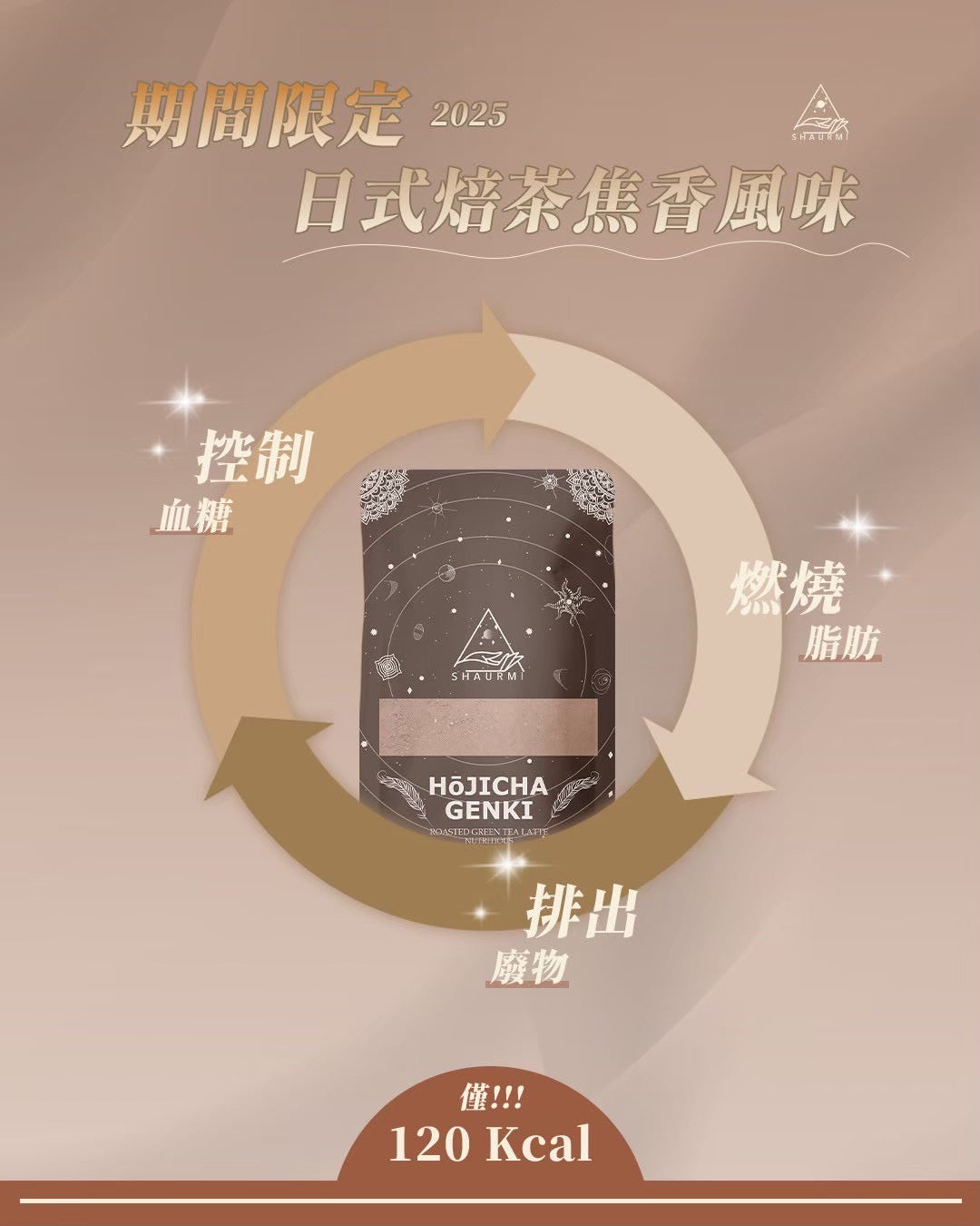 Shaurmi -  HOJICHA GENKI 日式焙茶代餐 減少糖分吸收 14包盒-台灣製造 莎尤美期間限定