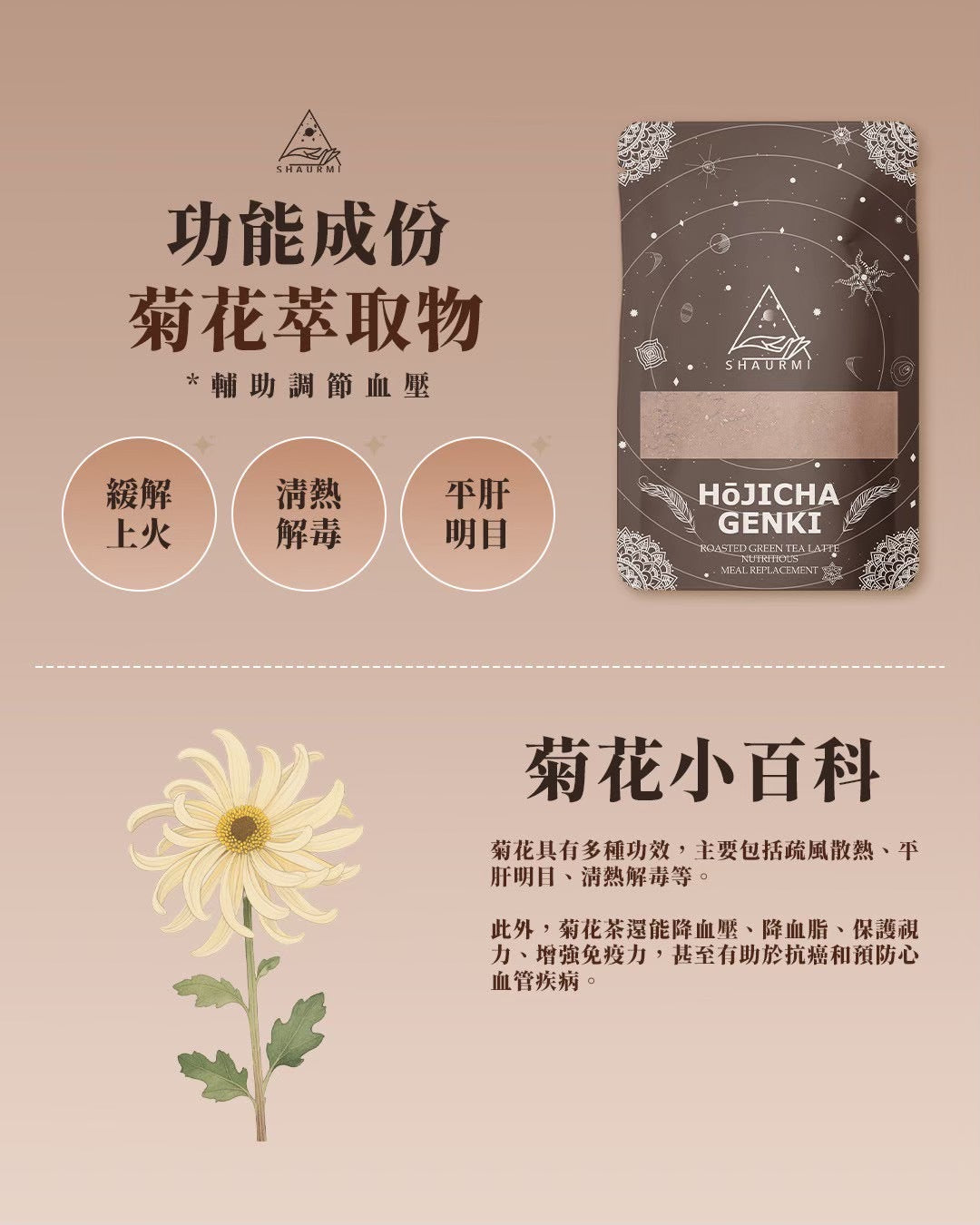 Shaurmi -  HOJICHA GENKI 日式焙茶代餐 減少糖分吸收 14包盒-台灣製造 莎尤美期間限定