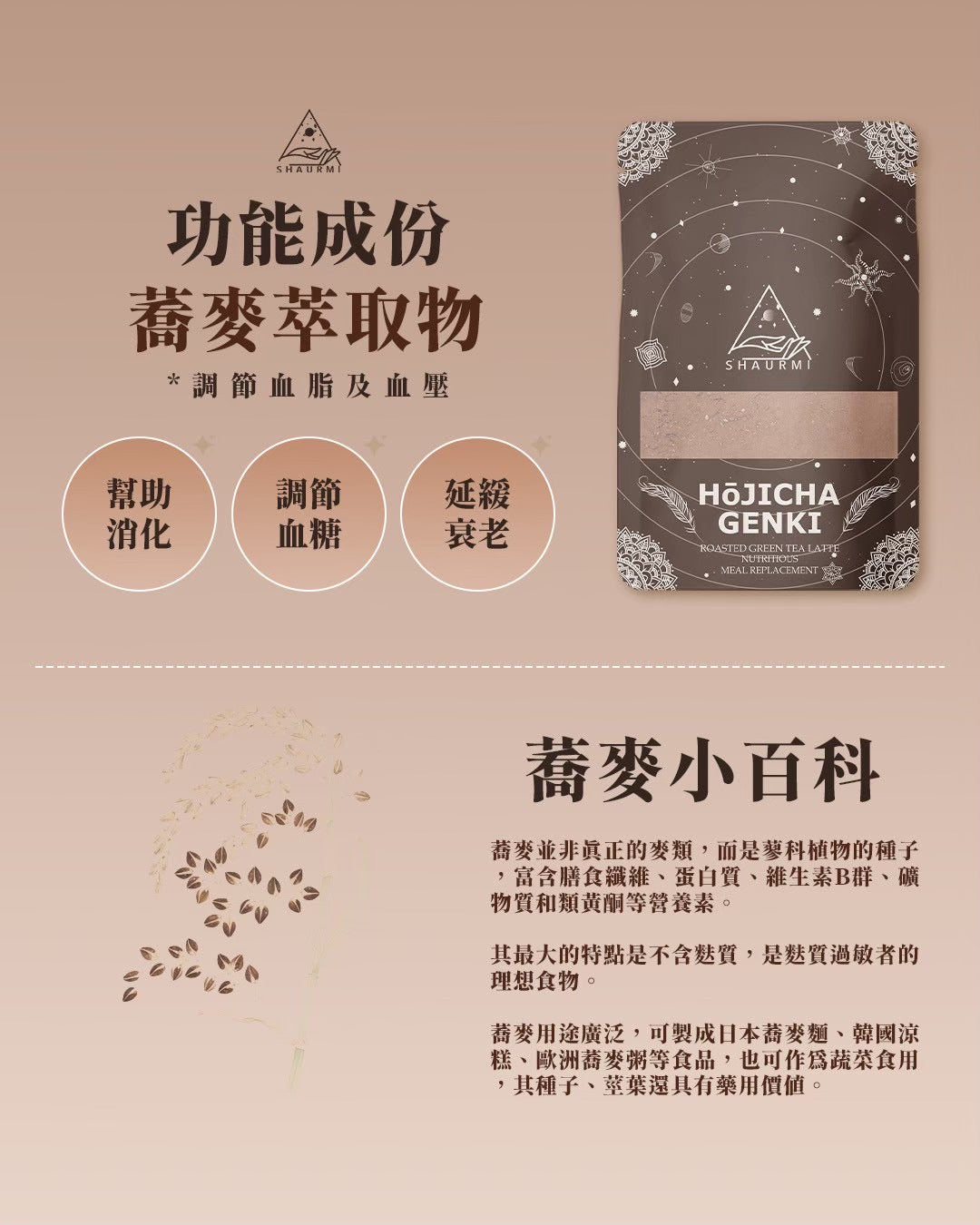 Shaurmi -  HOJICHA GENKI 日式焙茶代餐 減少糖分吸收 14包盒-台灣製造 莎尤美期間限定